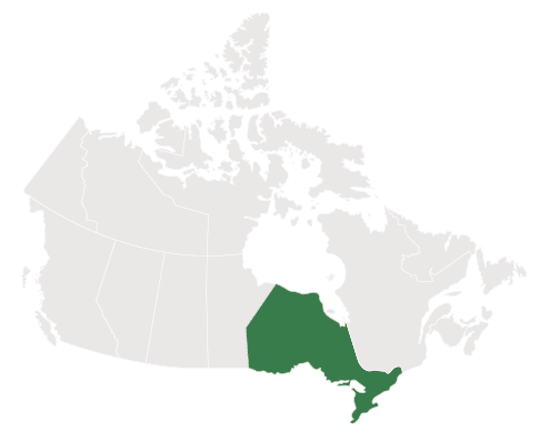 Canadian Map Ontario highlighted with green